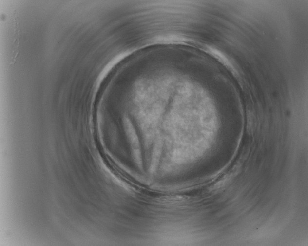 X0000074341331200609152112