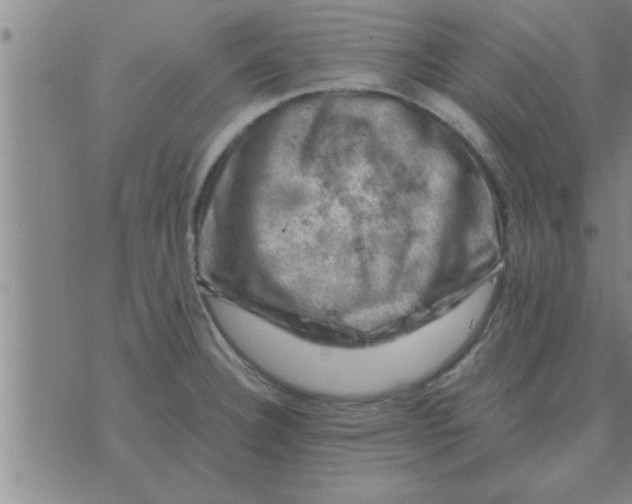 X0000074341332200609152112