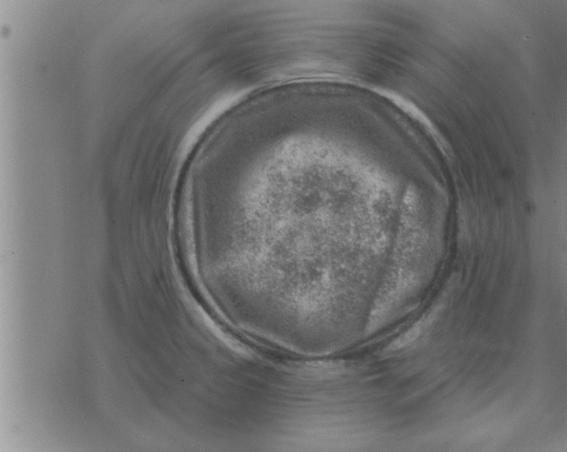 X0000074341333200609152112