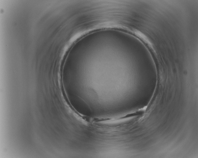 X0000074341334200609152112