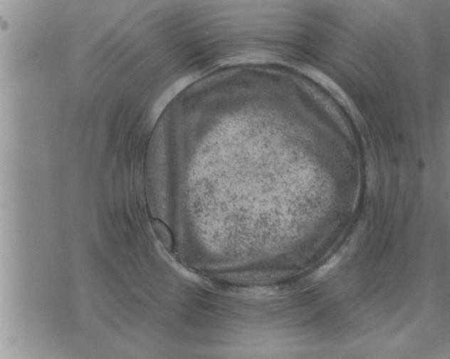 X0000074341337200609152112