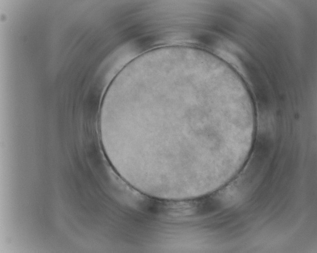 X0000074341338200609152112