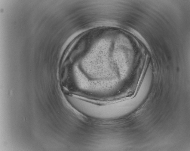 X0000074341339200609152112