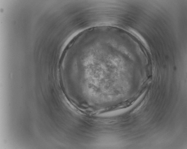 X0000074341340200609152112