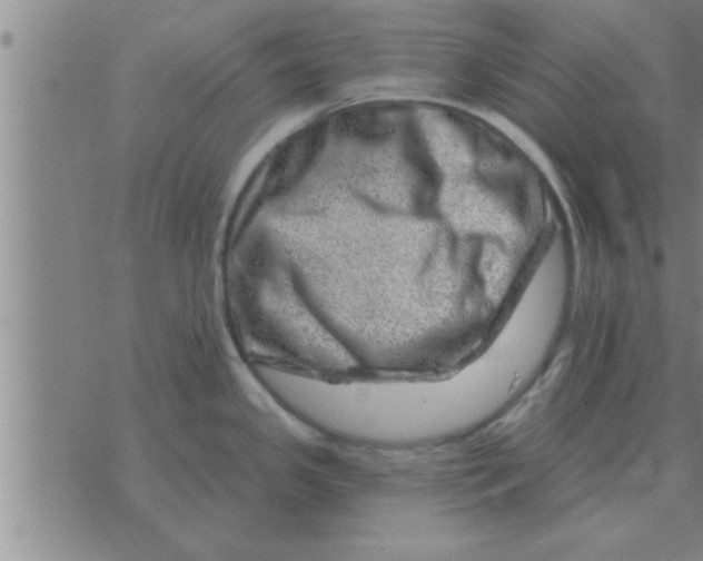 X0000074341341200609152112