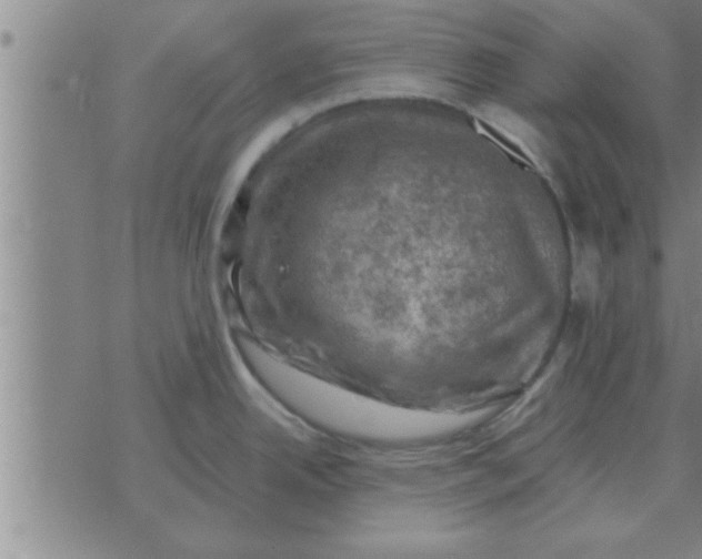 X0000074341342200609152112