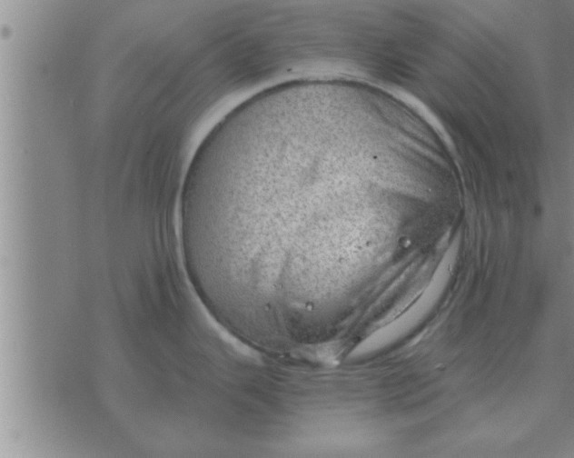 X0000074341343200609152112