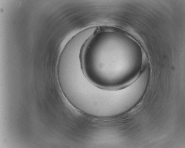 X0000074341344200609152112