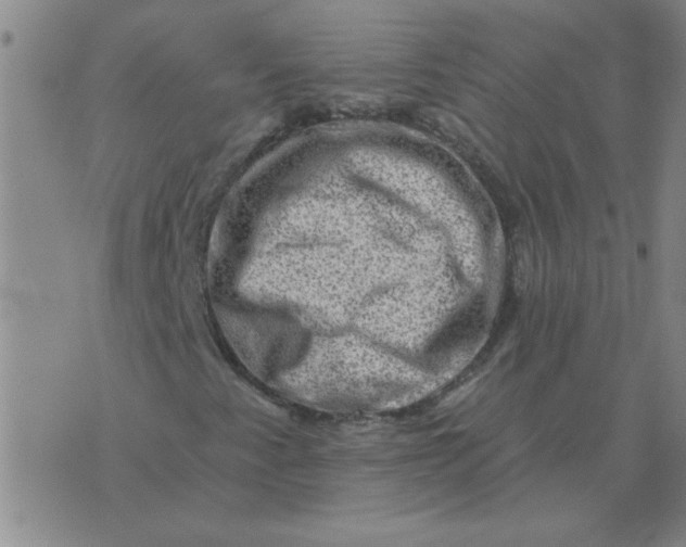 X0000074341345200609152112