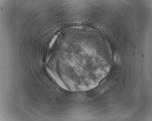 X0000074341347200609152112