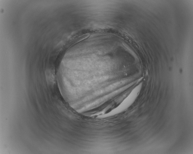 X0000074341348200609152112