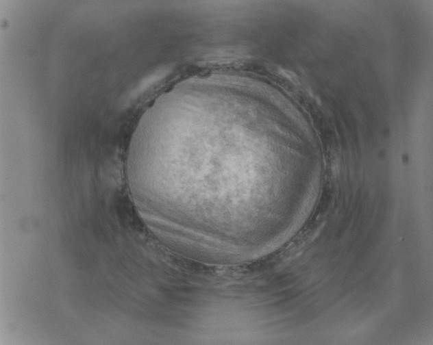 X0000074341350200609152112