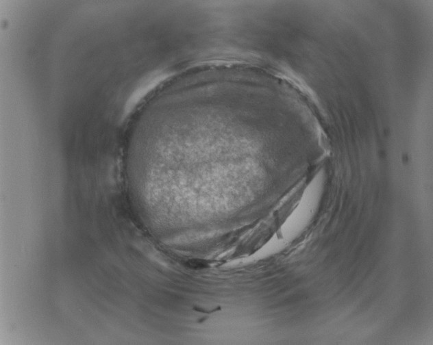 X0000074341352200609152111