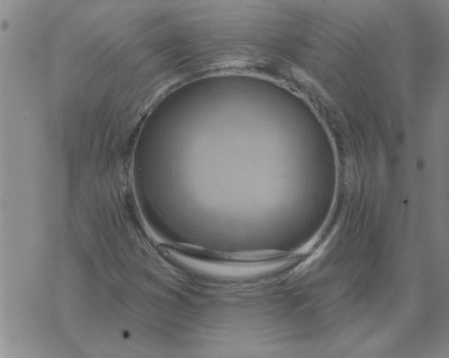 X0000074341353200609152111