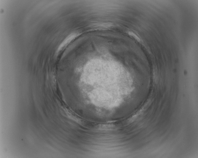 X0000074341354200609152111