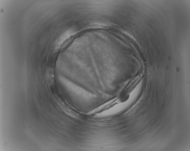 X0000074341355200609152111