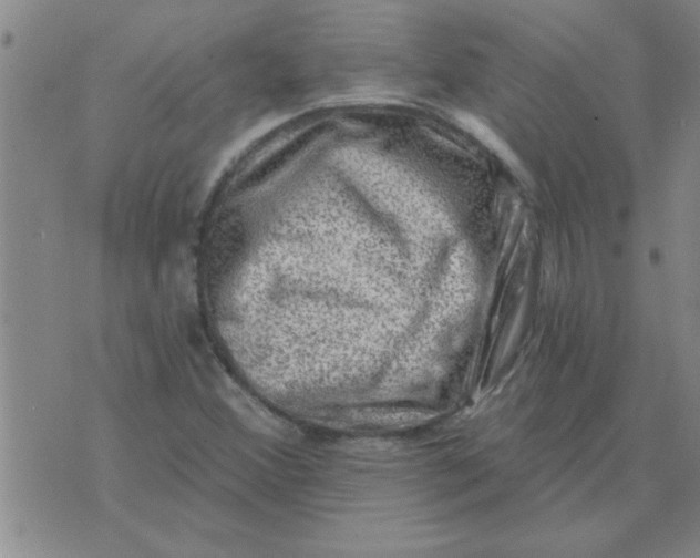 X0000074341356200609152111