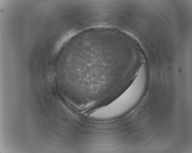 X0000074341359200609152111