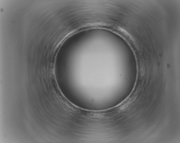 X0000074341361200609152111