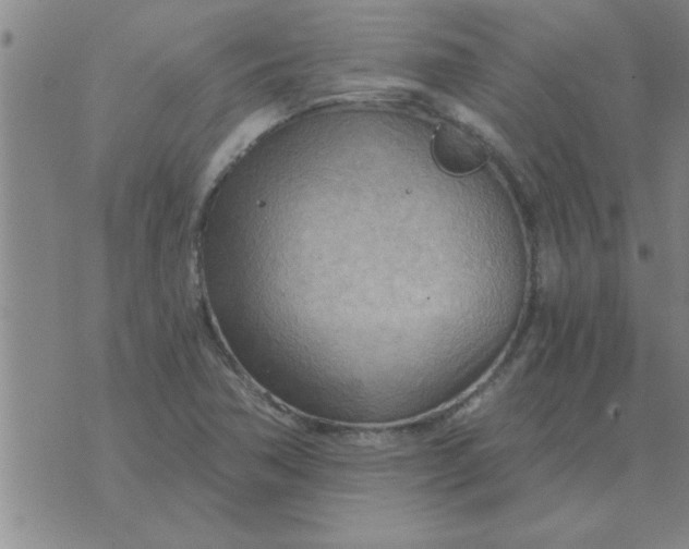 X0000074341362200609152111