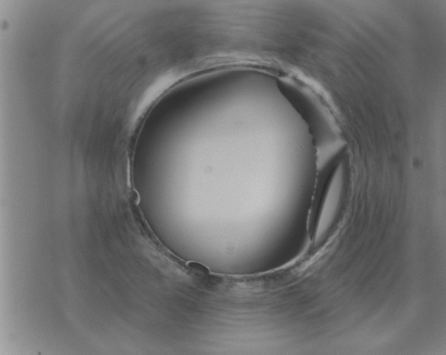 X0000074341365200609152111