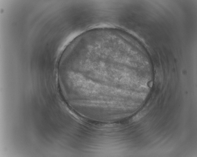 X0000074341367200609152111