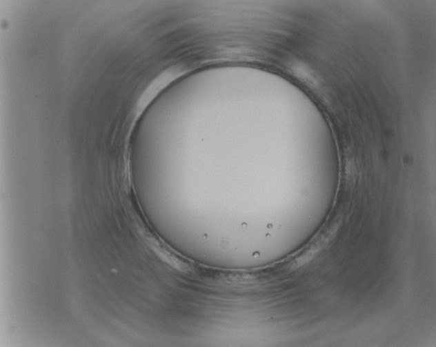 X0000074341370200609152111