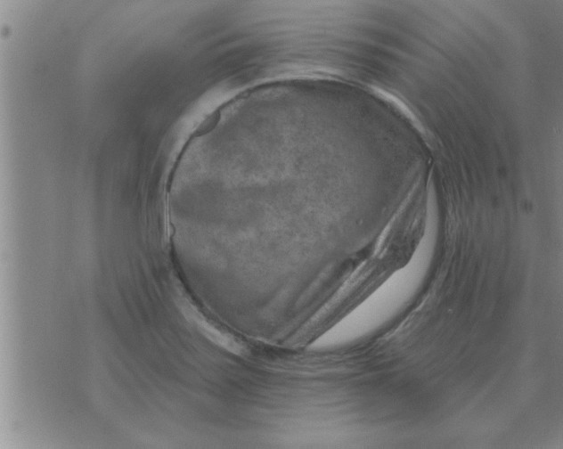 X0000074341371200609152111