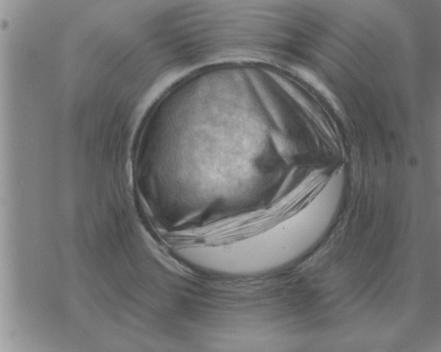 X0000074341372200609152111