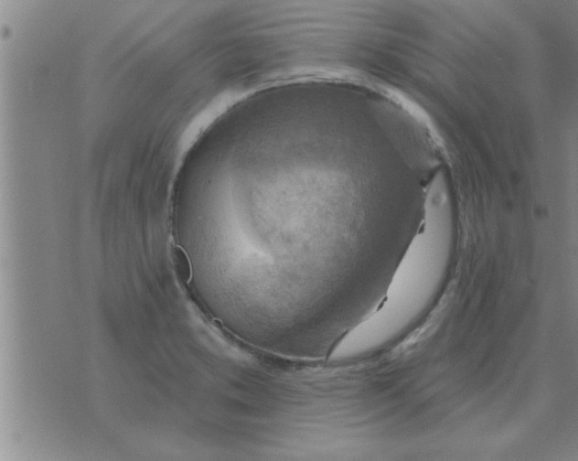 X0000074341373200609152111