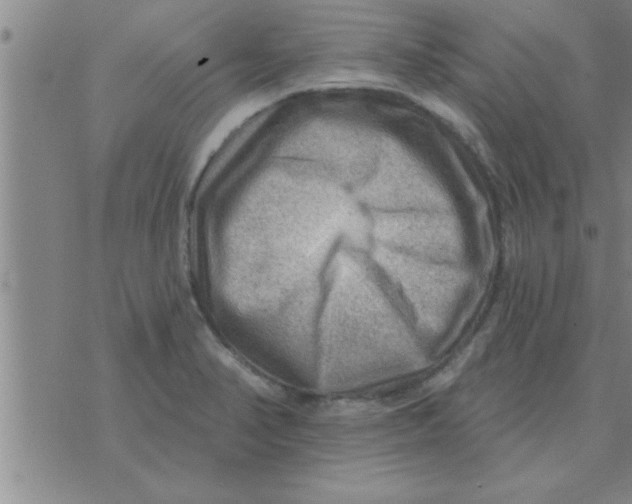 X0000074341374200609152111