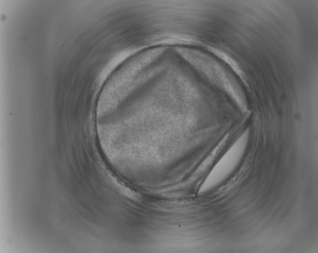 X0000074341375200609152111