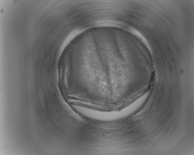 X0000074341376200609152111