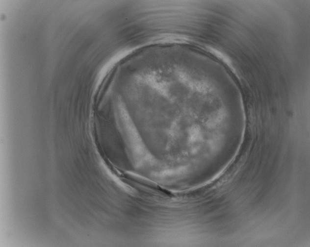 X0000074341379200609152111