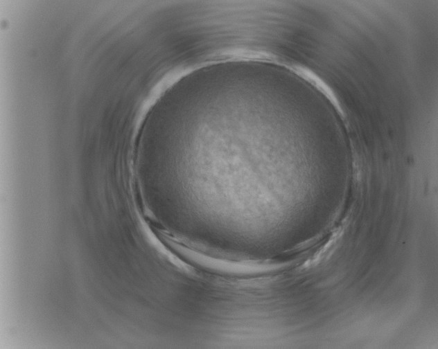 X0000074341381200609152111