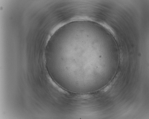 X0000074341382200609152111