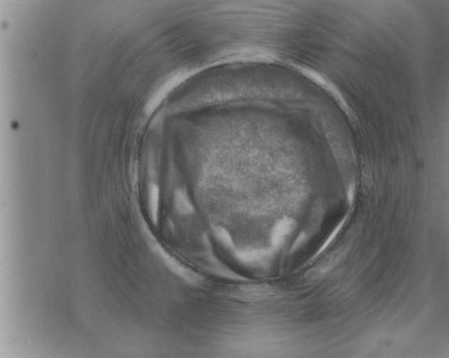 X0000074341383200609152111