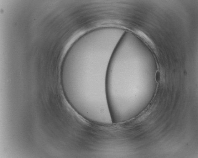 X0000074341384200609152111