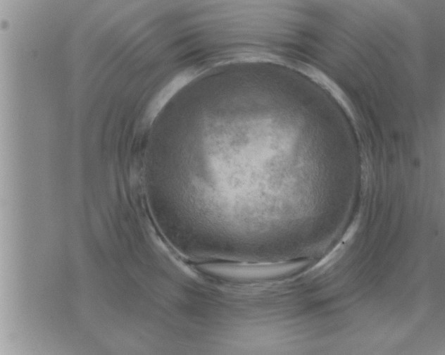 X0000074341385200609152111