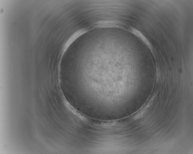 X0000074341386200609152111