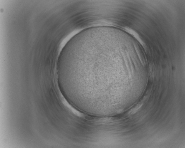 X0000074341387200609152111