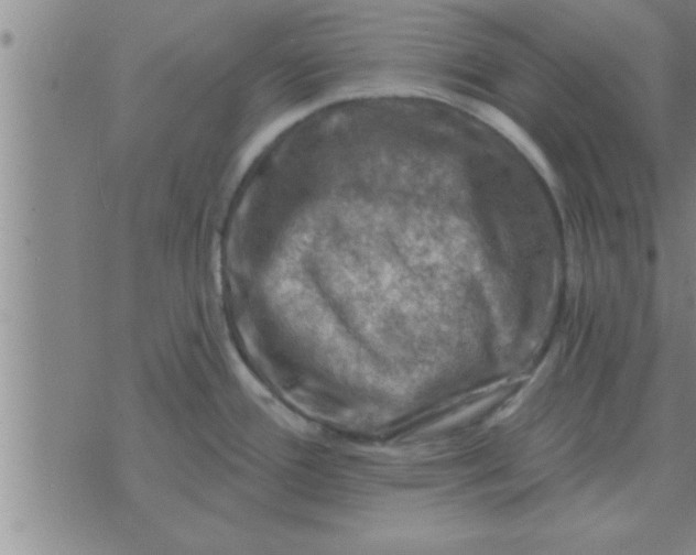 X0000074341388200609152111