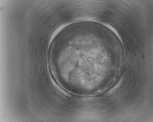 X0000074341389200609152111