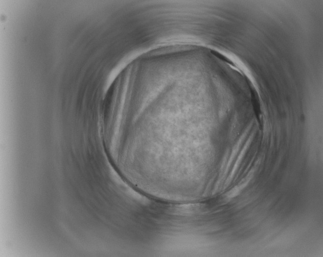 X0000074341390200609152111