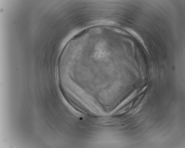 X0000074341391200609152111