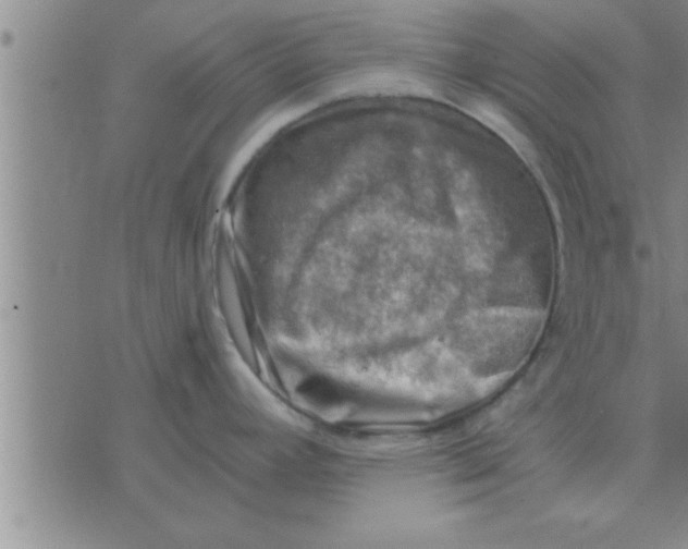 X0000074341392200609152111