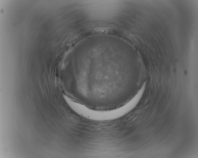 X0000074341394200609152110