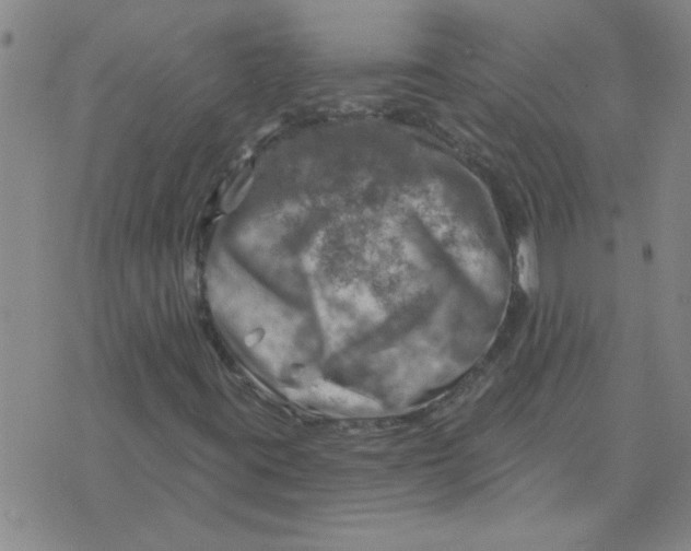 X0000074341395200609152110