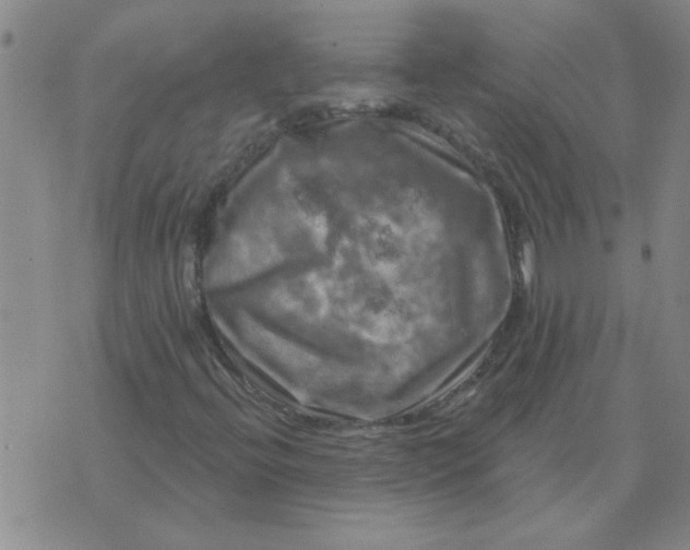 X0000074341396200609152110