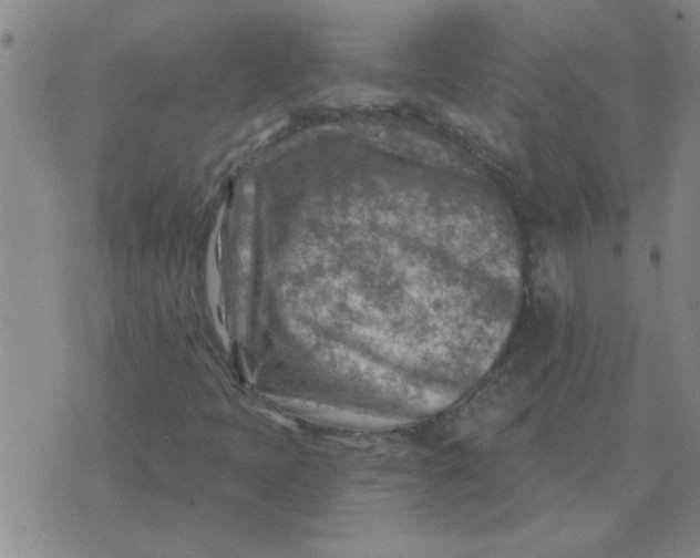 X0000074341397200609152110